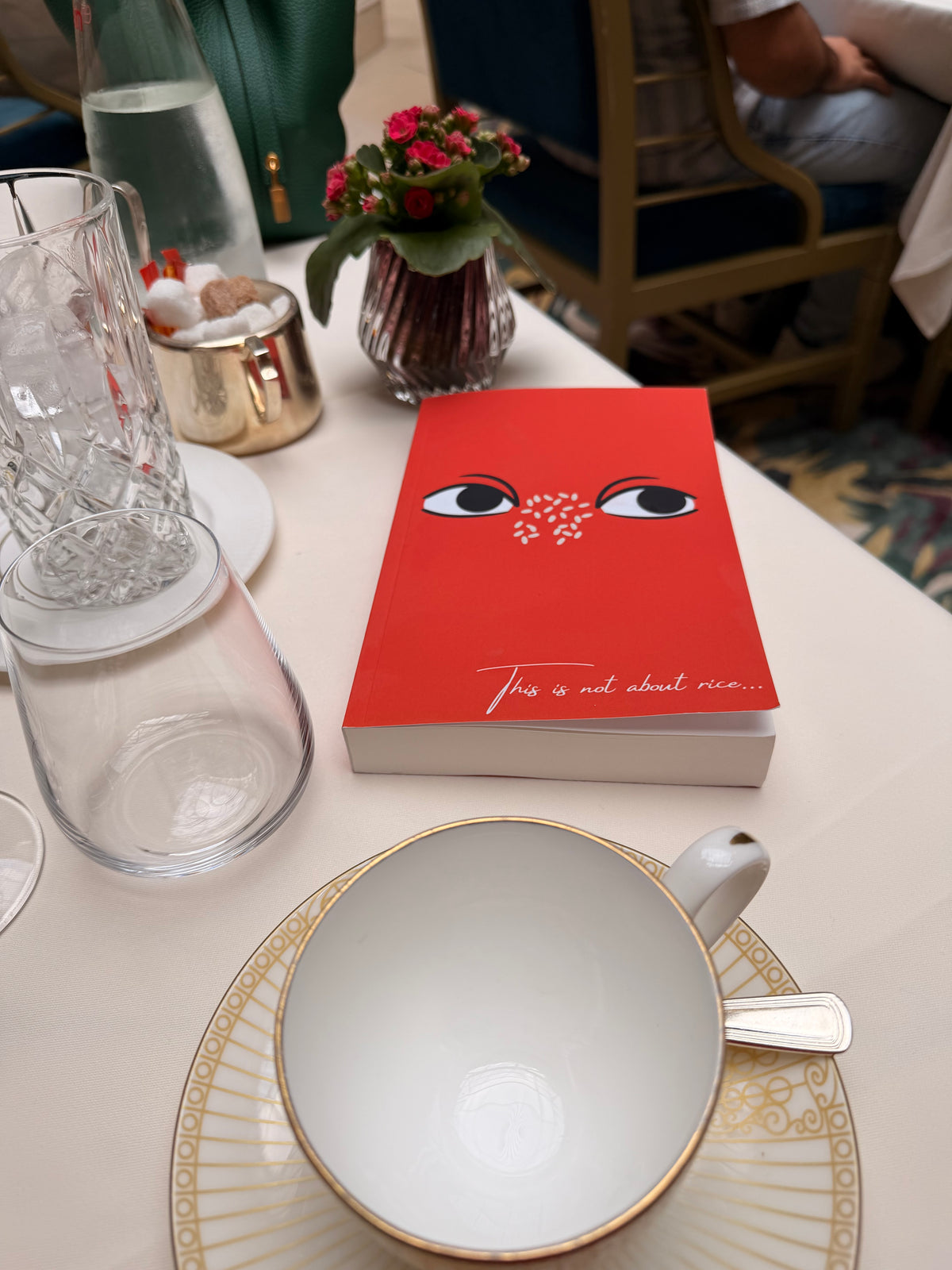 ‘This Is Not About Rice’ E-book